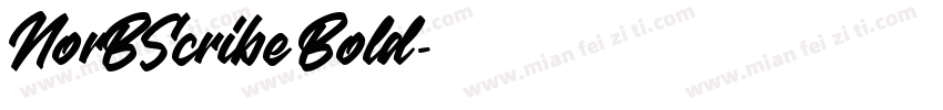 NorBScribe Bold字体转换
